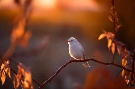 Tiny white bird sits on the branch in the forest.の素材