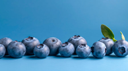 Blueberries on pastel blue background. Horizontal background design with copy space.の素材