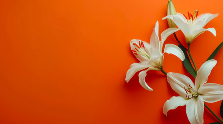 Bouquet of lilies on bright orange background with copy space.の素材