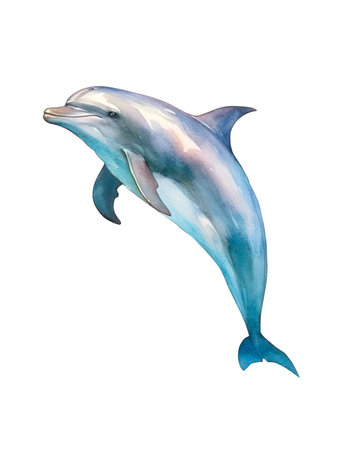 Watercolor illustration of a dolphin isolated on white background.の素材