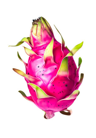 Watercolor illustration of a dragon fruit isolated on white background.の写真素材