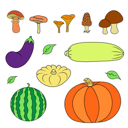 Set of vegetables and mushrooms. Vector iustrstion of pumpkin, zucchini, squash, eggplant.のイラスト素材