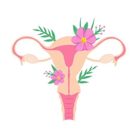 Uterus and flowers illustration. Women Health. Human internal organs. Vector illustration.のイラスト素材
