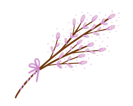 Pussy willow branch. Easter bouquet, blossom pussy willow tree. Vector Illustration for backgrounds, packaging, greeting cards, posters, textile and seasonal design. Isolated on white background.のイラスト素材