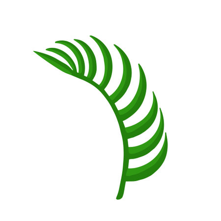Palm leaf side view. Vector Illustration for printing, backgrounds, covers and packaging. Image can be used for greeting cards, posters, stickers and textile. Isolated on white background.のイラスト素材
