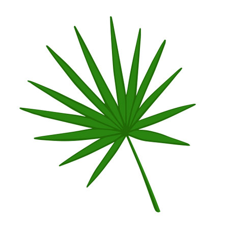 Circle palm leaf. Vector Illustration for printing, backgrounds, covers and packaging. Image can be used for greeting cards, posters, stickers and textile. Isolated on white background.のイラスト素材