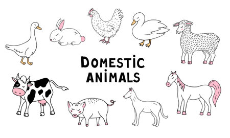 domestic animals set, cow, horse, pig. Vector Illustration for printing, backgrounds, covers and packaging. Image can be used for greeting cards, posters and stickers. Isolated on white background.のイラスト素材