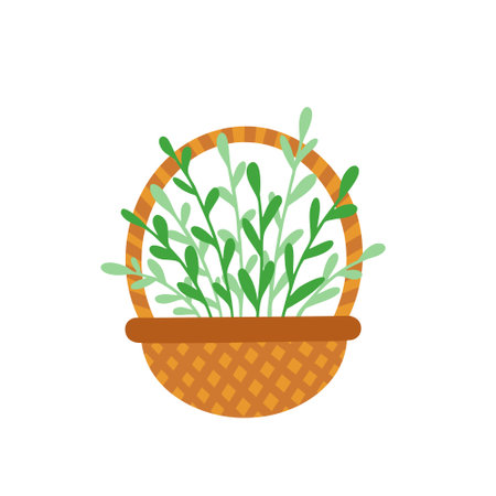 basket with plantのイラスト素材