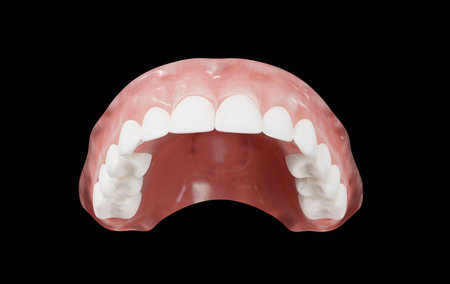 human upper jaw 3d rendering on black backgroundの写真素材