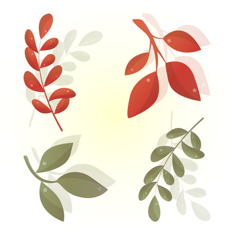 Big set of cute leaves from different kind of trees isolated on whiteのイラスト素材