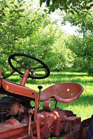 Old tractor in the apple orchard. の写真素材