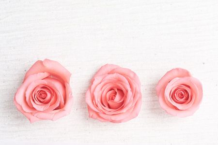 Soft pink roses on a feminine fabric background. の写真素材