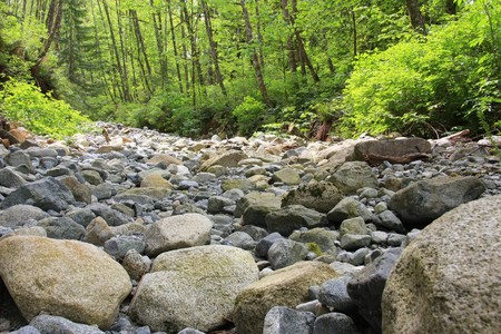 Dried out riverbed,Canada. Climate change concept.