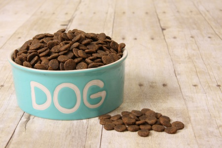 Bowl with dog food on a hardwood floor. の写真素材