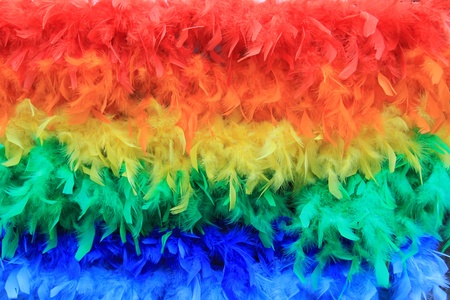 Rainbow colored feathers background. の写真素材