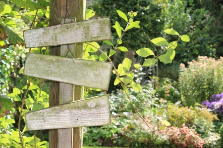 Summer garden wooden sign, add your own text  