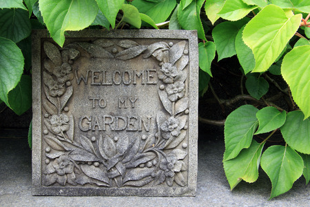 Welcome to my garden signの写真素材