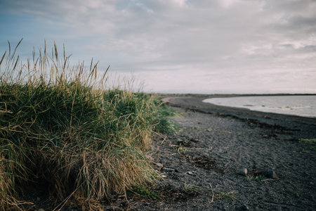 Beautiful seascape with sand dunes and black sand beachの写真素材