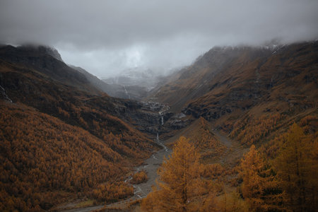 Autumn in the mountains