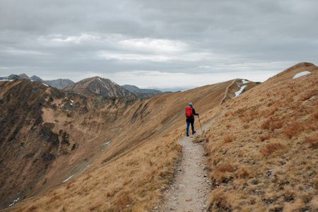 Hiking in the Carpathian mountains. Trekking in Ukraine.の写真素材