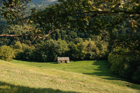 Old stone house in the middle of a meadow in the mountains