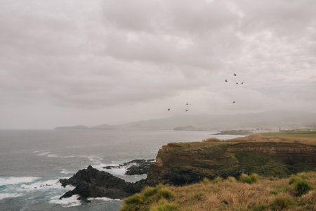 Flock of birds flying over the cliffs of Ponta de Sao Lourencoの写真素材
