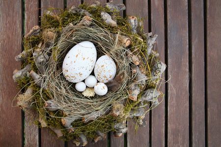 Easter Eggs In Nestの写真素材