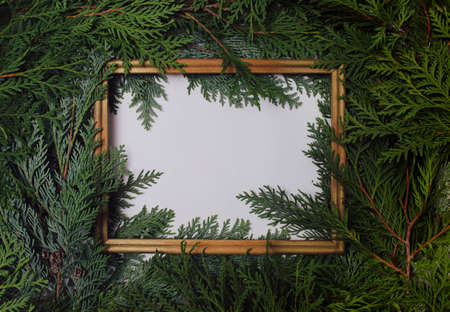 Green flat lay with cypresses branches on white background and a frame. Empty space for text, copy, lettering.の写真素材