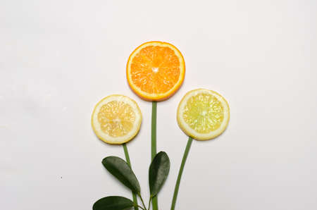 Flowers made od lemon, lime and orange on white background. Flat lay creative concept.の写真素材