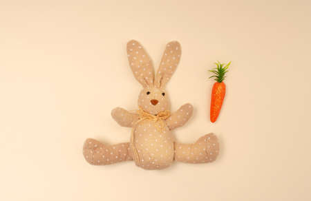 Creative layout made with Easter bunny and carrot. Beautiful background, flat lay.の写真素材