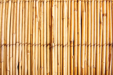 Texture bambooの写真素材