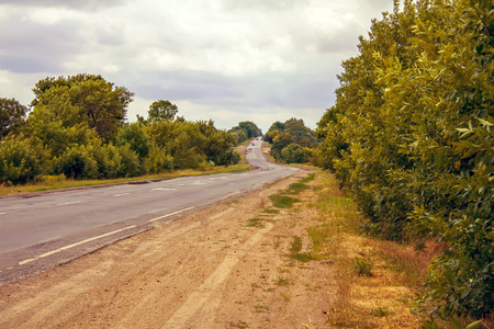 Country road between fieldsの写真素材
