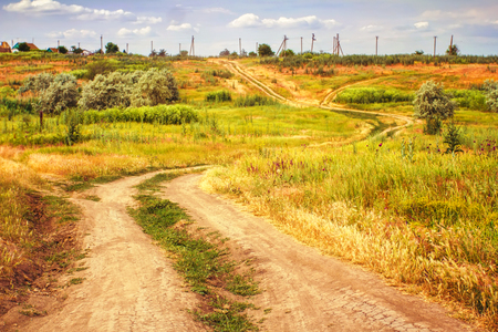 Country road between wheat fieldsの写真素材