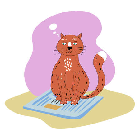 Funny Cat is sitting on a newspaper, magazine. Vector illustration isolated cartoonのイラスト素材