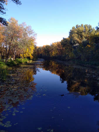 Autumn landscape river, trees reflected in the riverの写真素材