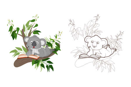 Coloring book, little koala reading a book sitting on eucalyptus branches.Vector ,illustration in cartoon style, black and white line art for childrenのイラスト素材