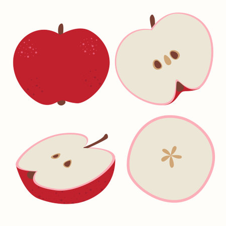 Stock vector illustration with set of apples on a white background, red apples, slices. Contemporary apples. Cute colorful summer fruit for icon design, stickers. EPS 10 Set of appのイラスト素材