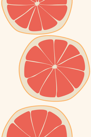 grapefruit on a beige background. Vector illustration of summer fruits and citrus. Citrus icons are silhouettes of pictograms. Tropical fruit. Grapefruit parts, slices. Vector illのイラスト素材