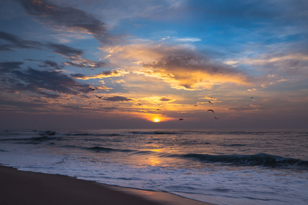 Sunset over the ocean with flock of seagullsの写真素材