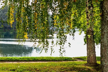 Autumn trees and river in the parkの写真素材