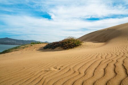 Sand Dunes on the Beach with Beautiful Cloudy Blue Sky in Backgroundの写真素材