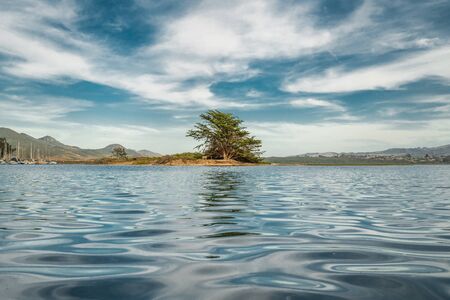 Soft Blue Ocean Waves and Tree on the Beach, Beautiful Cloudy Blue Sky Backgroundの写真素材