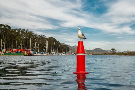 Sea Harbor and Seagull Sitting on the Buoy Against Cloudy Blue Skyの写真素材