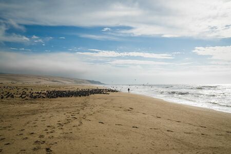 Sand beach, cloudy sky, and flock of birds.の写真素材