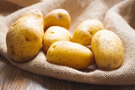 Potatoes. Fresh, organic Yukon Gold potato close up on a wooden kitchen table in morning lightの写真素材