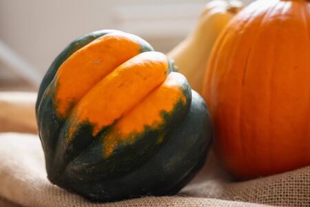 Squash family. Fresh, organic acorn squash, butternut squash, and pumpkin close up on a kitchen table in morning lightの写真素材