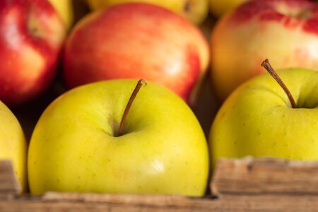 Apples. Autumn harvest. Fresh organic red and yellow apples in container, close upの写真素材