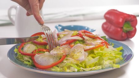 Vegetable salad on a plate, close up on white background. Fresh organic romaine lettuce, red pepper, onion, some seasoning, and olive oil.の写真素材