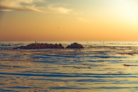 Sunset over the sea. Clorful water, rock with birds, cloudy sky backgroundの写真素材