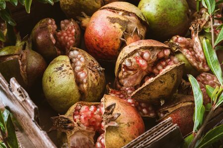 Pomegranates. Cracked ripe organic pomegranates in  conteiner close upの写真素材